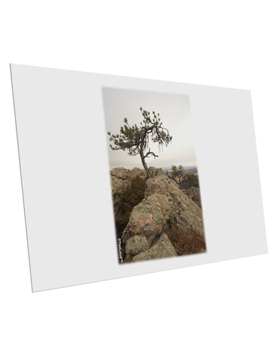 Stone Tree Colorado 10 Pack of 6x4&#x22; Postcards by TooLoud-Postcards-TooLoud-White-Davson Sales