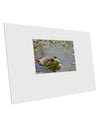 Bullfrog In Water 10 Pack of 6x4&#x22; Postcards by TooLoud-Postcards-TooLoud-White-Davson Sales