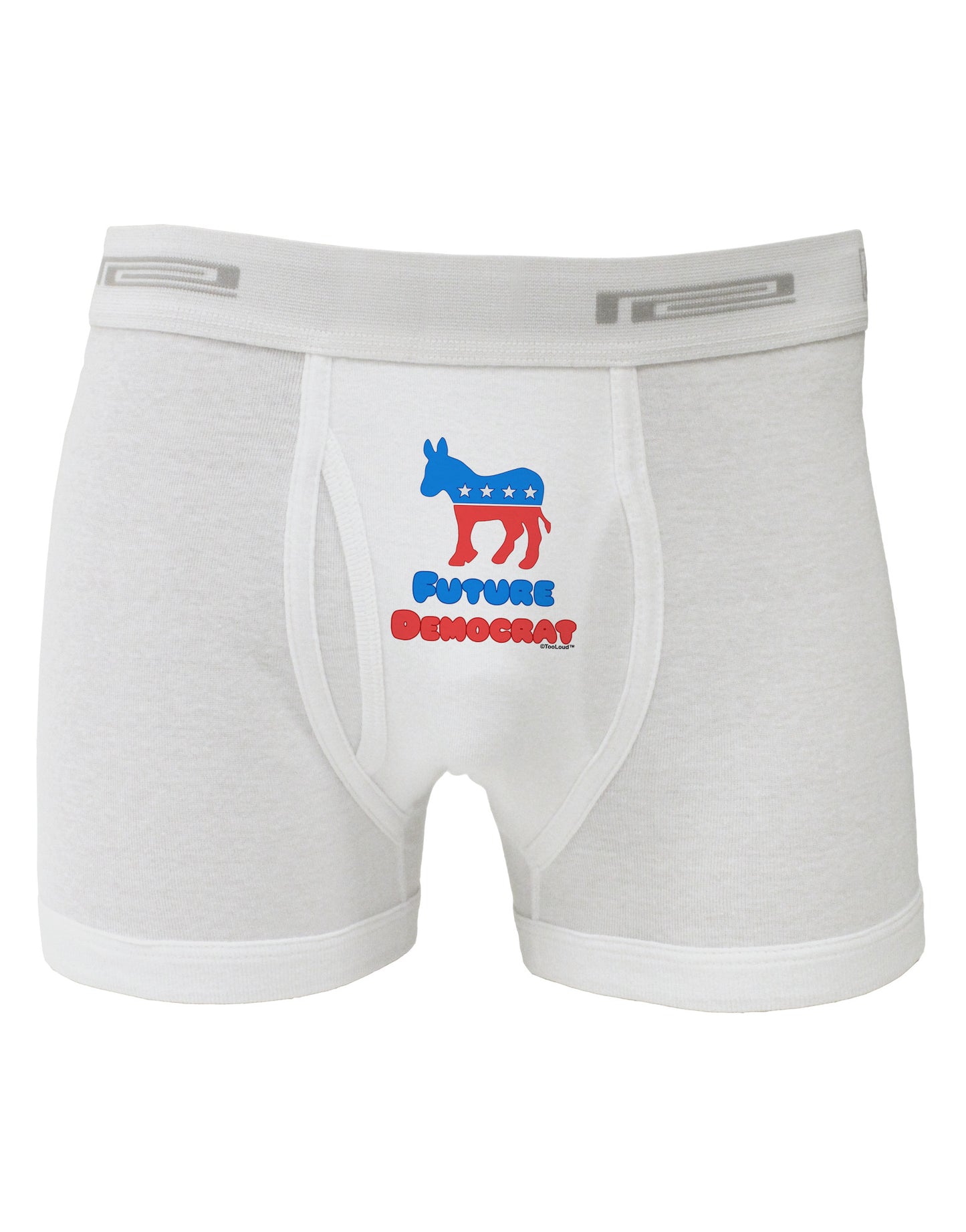 Future Democrat Boxer Briefs-Boxer Briefs-TooLoud-White-Small-Davson Sales