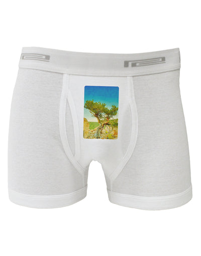 Colorado Tree Watercolor Boxer Briefs-Boxer Briefs-TooLoud-White-Small-Davson Sales