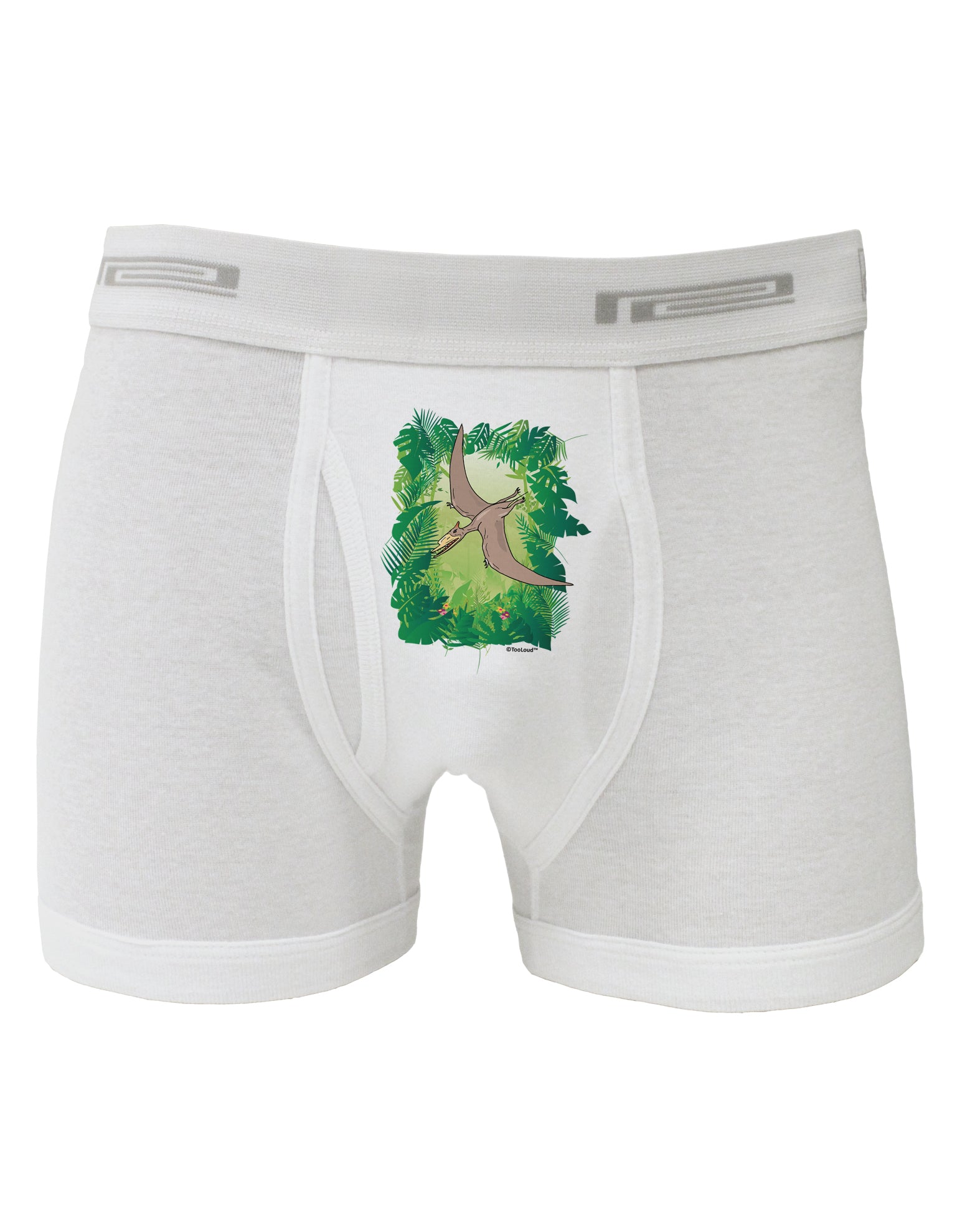 Pterosaurs - Without Name Boxer Briefs by TooLoud-Boxer Briefs-TooLoud-White-Small-Davson Sales
