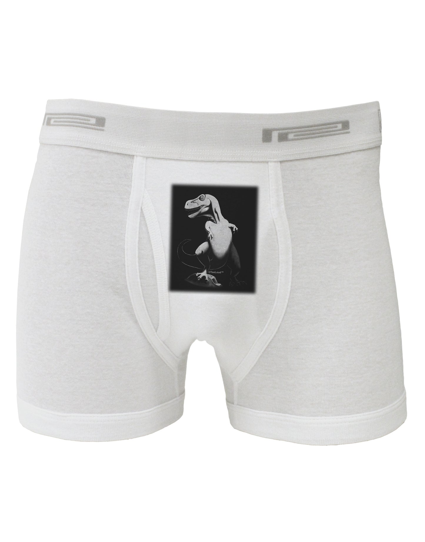 Tyrannosaurus Rex Design - Grayscale Boxer Briefs by TooLoud-Boxer Briefs-TooLoud-White-Small-Davson Sales