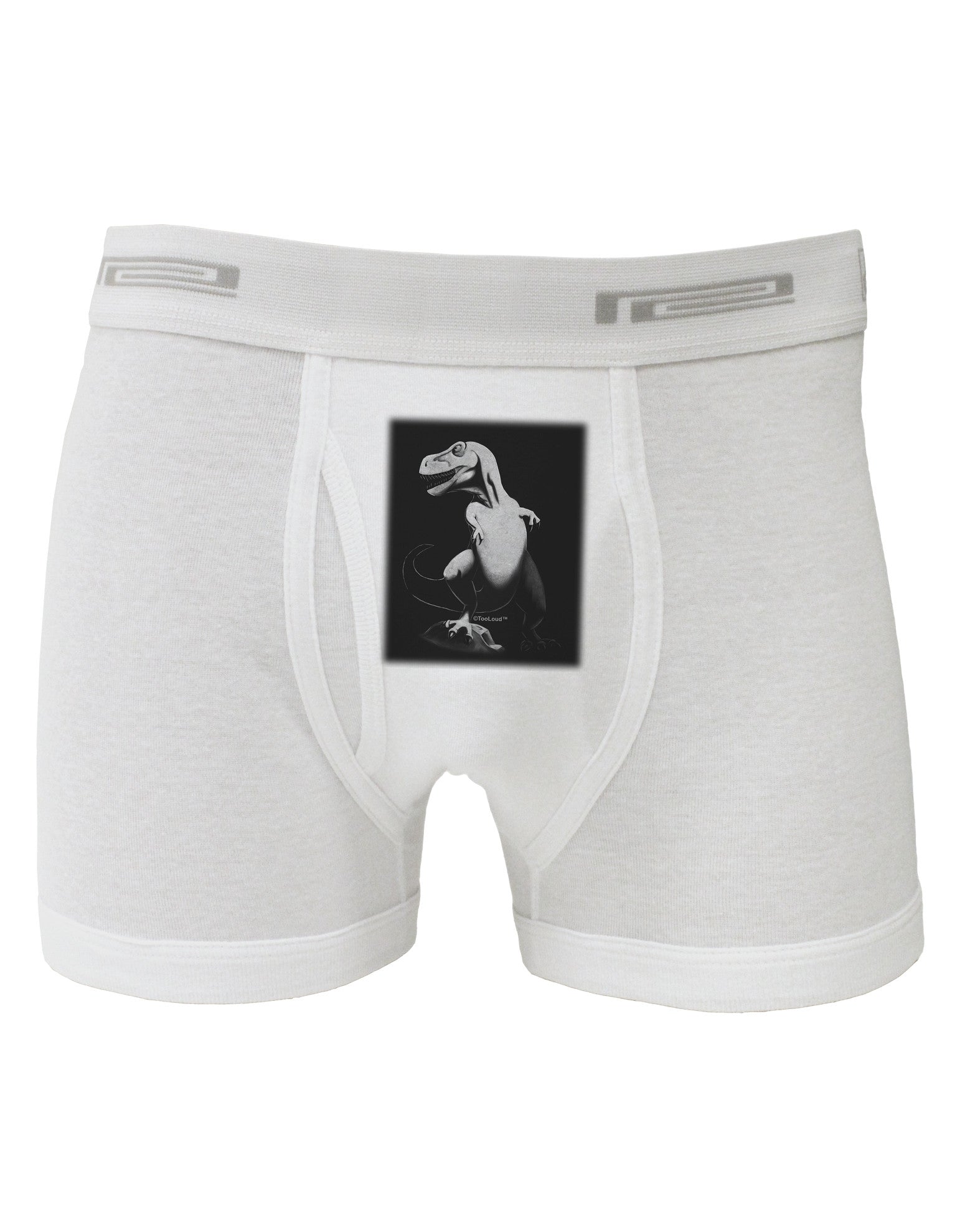 Tyrannosaurus Rex Design - Grayscale Boxer Briefs by TooLoud-Boxer Briefs-TooLoud-White-Small-Davson Sales