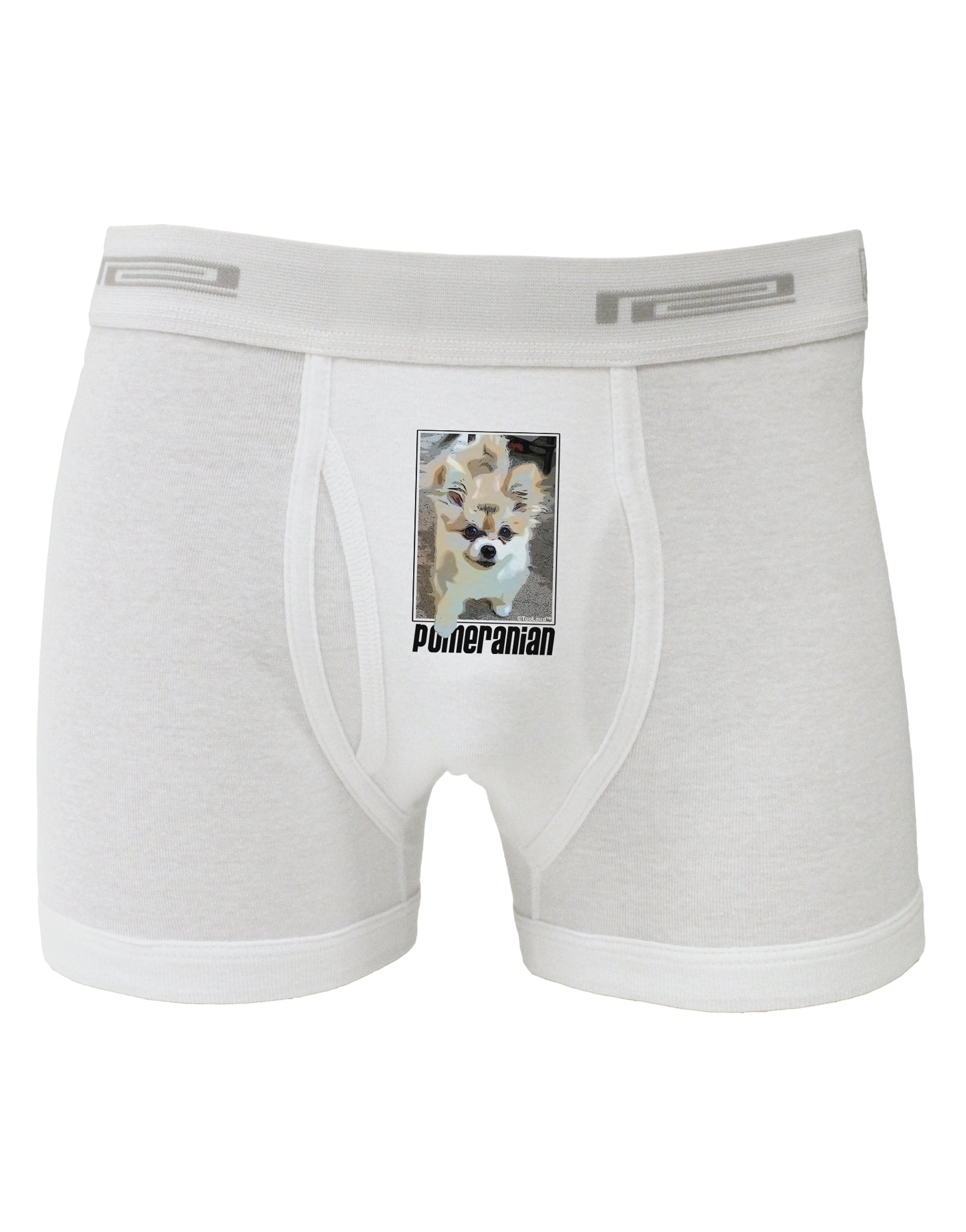 Pomeranian Step Out Boxer Briefs by TooLoud-Boxer Briefs-TooLoud-White-Small-Davson Sales
