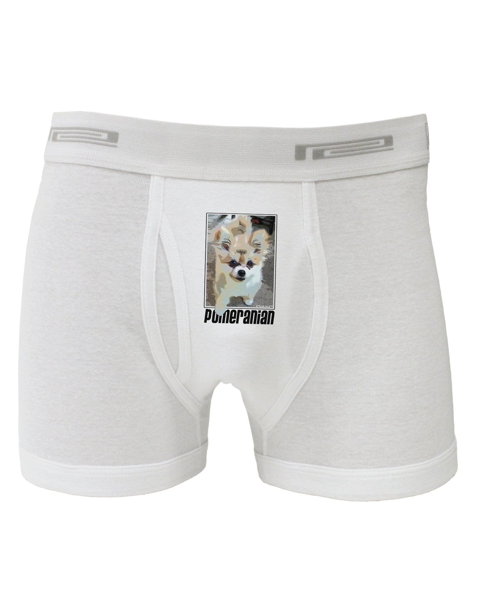 Pomeranian Step Out Boxer Briefs by TooLoud-Boxer Briefs-TooLoud-White-Small-Davson Sales