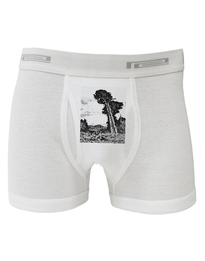 Colorado Landscape Watercolor BW Boxer Briefs-Boxer Briefs-TooLoud-White-Small-Davson Sales