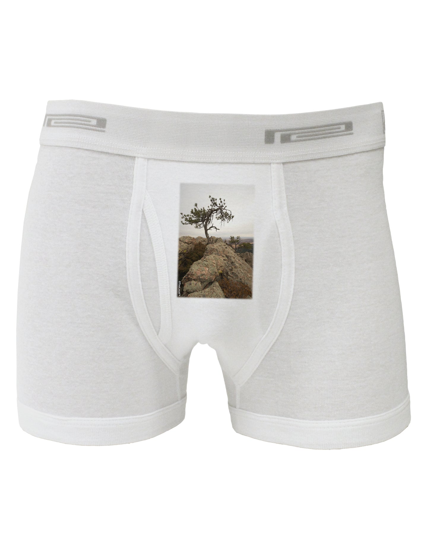 Stone Tree Colorado Boxer Briefs by TooLoud-Boxer Briefs-TooLoud-White-Small-Davson Sales