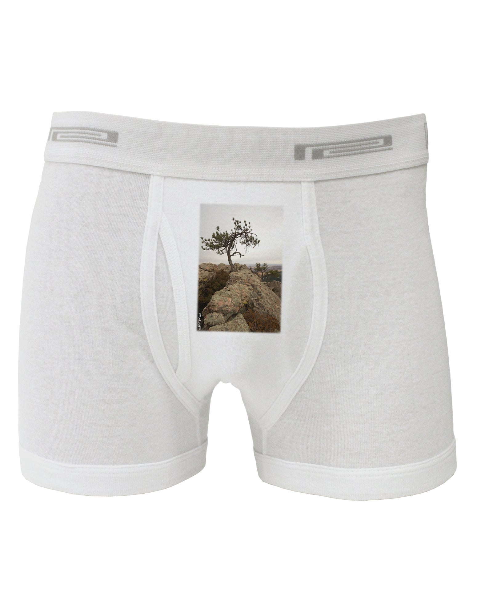 Stone Tree Colorado Boxer Briefs by TooLoud-Boxer Briefs-TooLoud-White-Small-Davson Sales