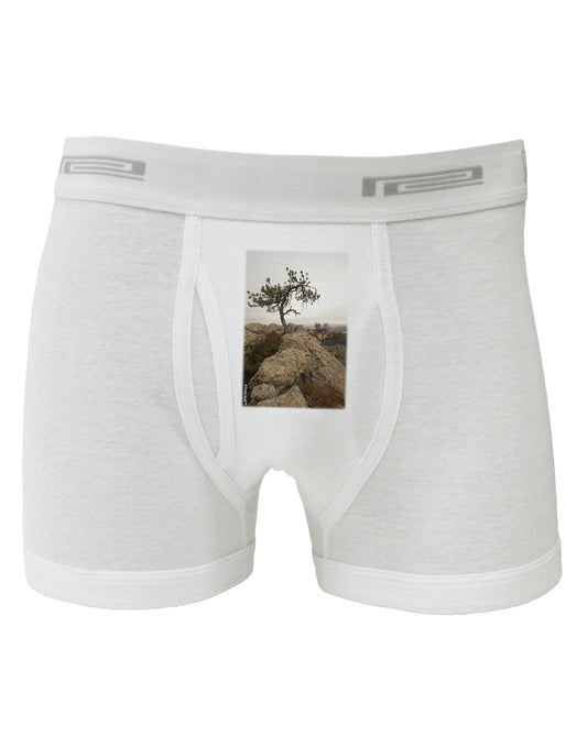 Stone Tree Colorado Boxer Briefs by TooLoud-Boxer Briefs-TooLoud-White-Small-Davson Sales