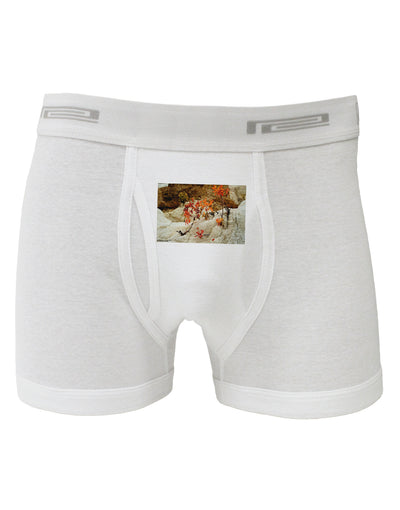 CO Painted Mines Boxer Briefs-Boxer Briefs-TooLoud-White-Small-Davson Sales