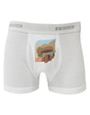 Montezuma Castle Artwork Boxer Briefs-Boxer Briefs-TooLoud-White-Small-Davson Sales