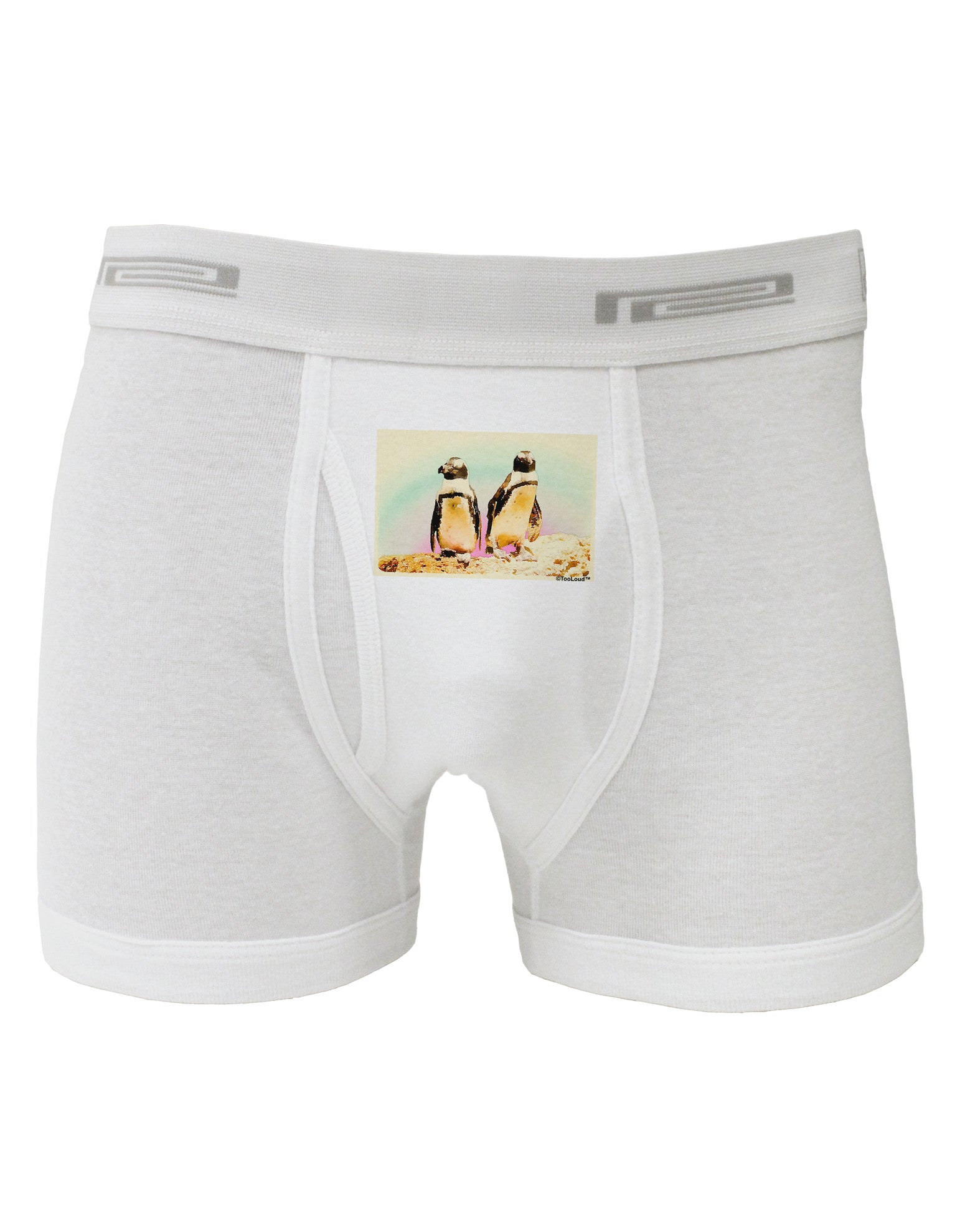 Magellanic Penguin Watercolor Boxer Briefs-Boxer Briefs-TooLoud-White-Small-Davson Sales