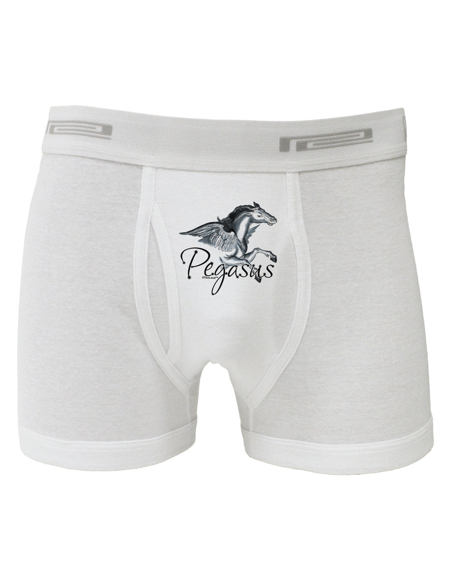 Pegasus Color Illustration Boxer Briefs-Boxer Briefs-TooLoud-White-Small-Davson Sales