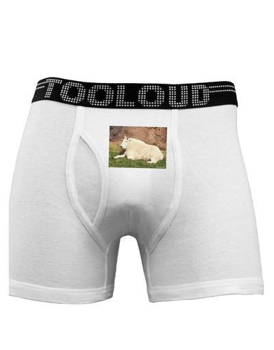 Relaxing Ram Boxer Briefs-Boxer Briefs-TooLoud-White-Small-Davson Sales