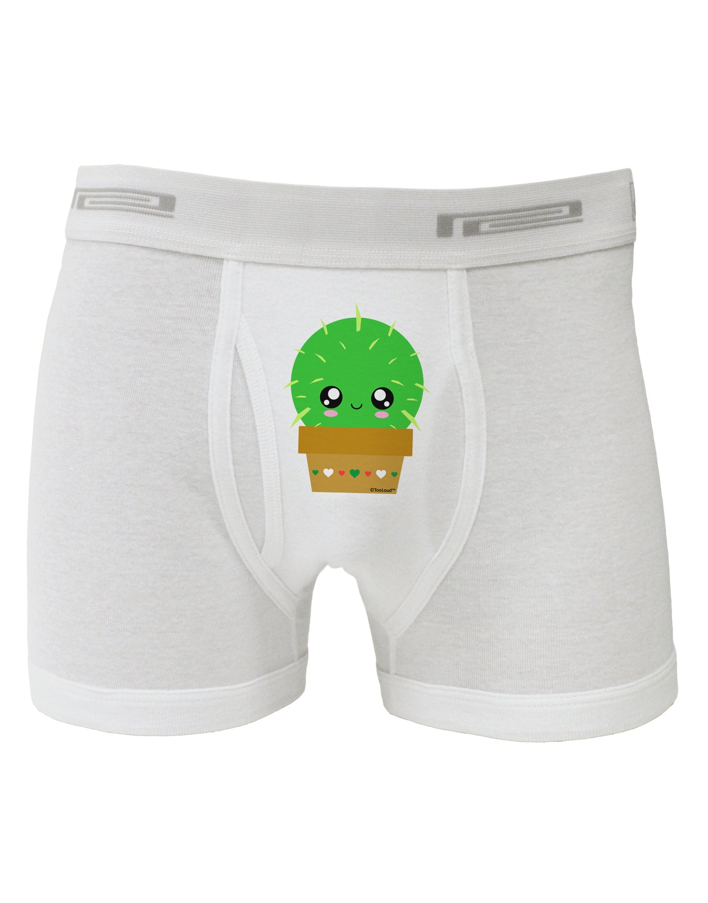 Cute Cactus Design Boxer Briefs by TooLoud-Boxer Briefs-TooLoud-White-Small-Davson Sales