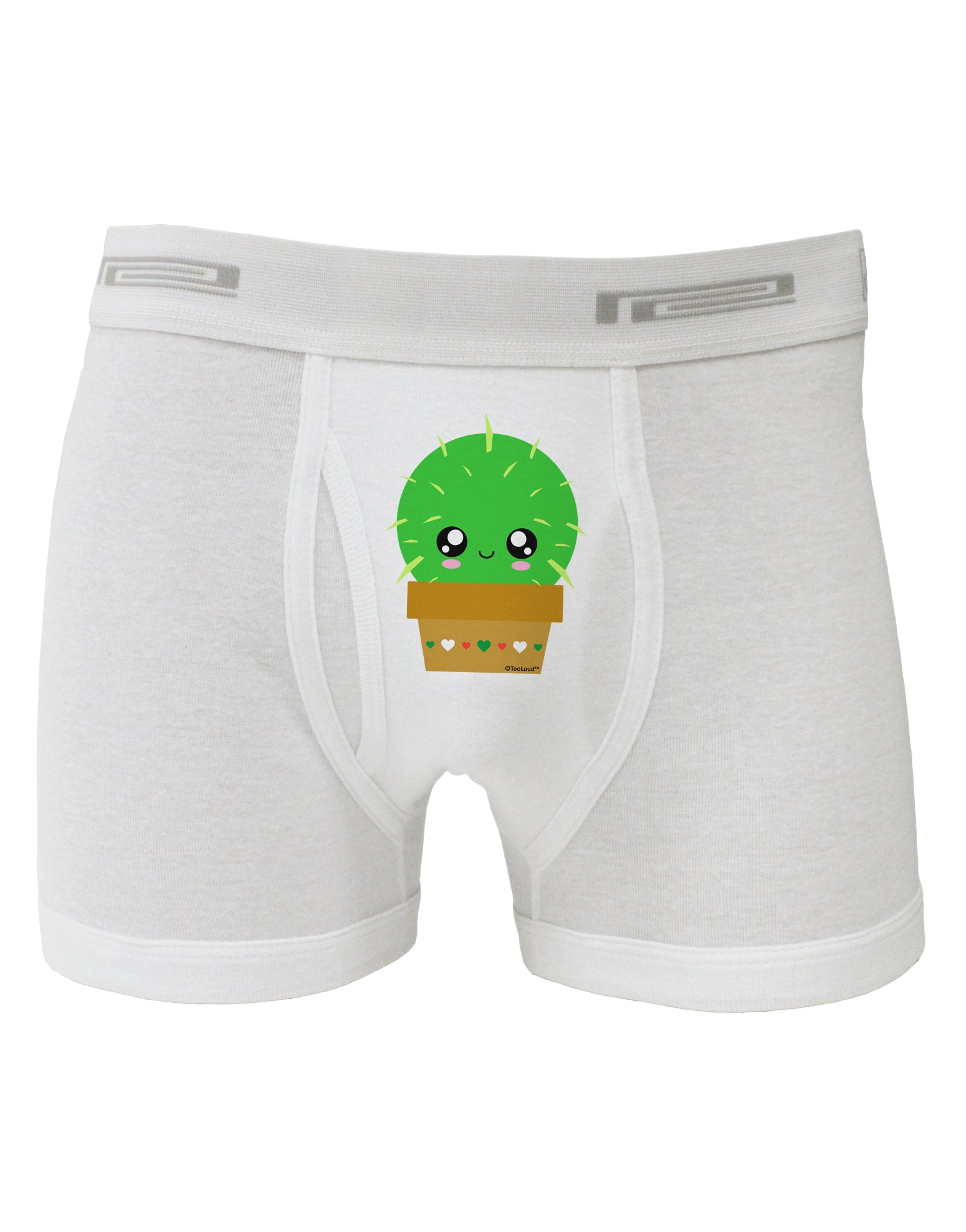 Cute Cactus Design Boxer Briefs by TooLoud-Boxer Briefs-TooLoud-White-Small-Davson Sales