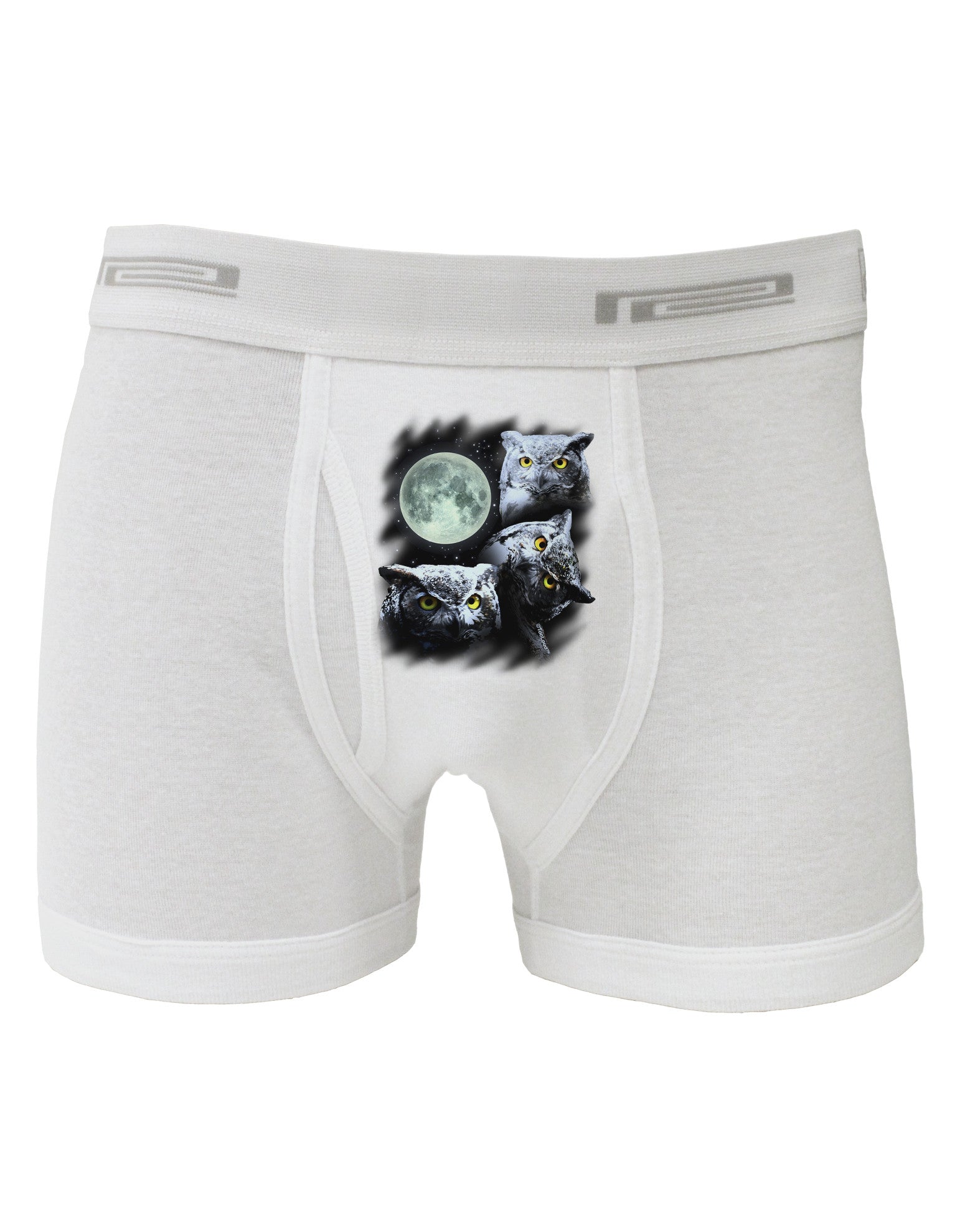 Three Owls and Moon Boxer Briefs-Boxer Briefs-TooLoud-White-Small-Davson Sales