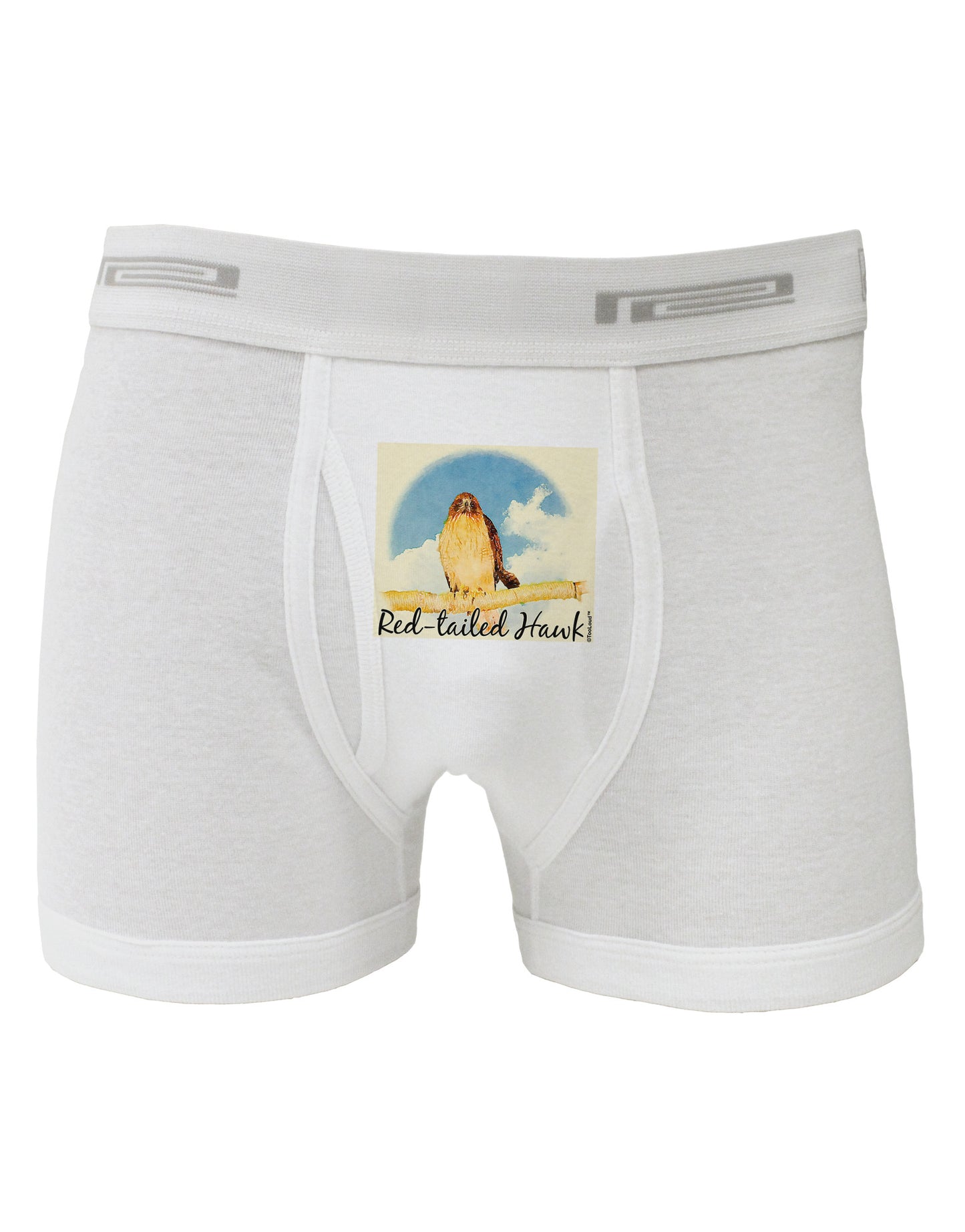 Red-tailed Hawk Text Boxer Briefs-Boxer Briefs-TooLoud-White-Small-Davson Sales