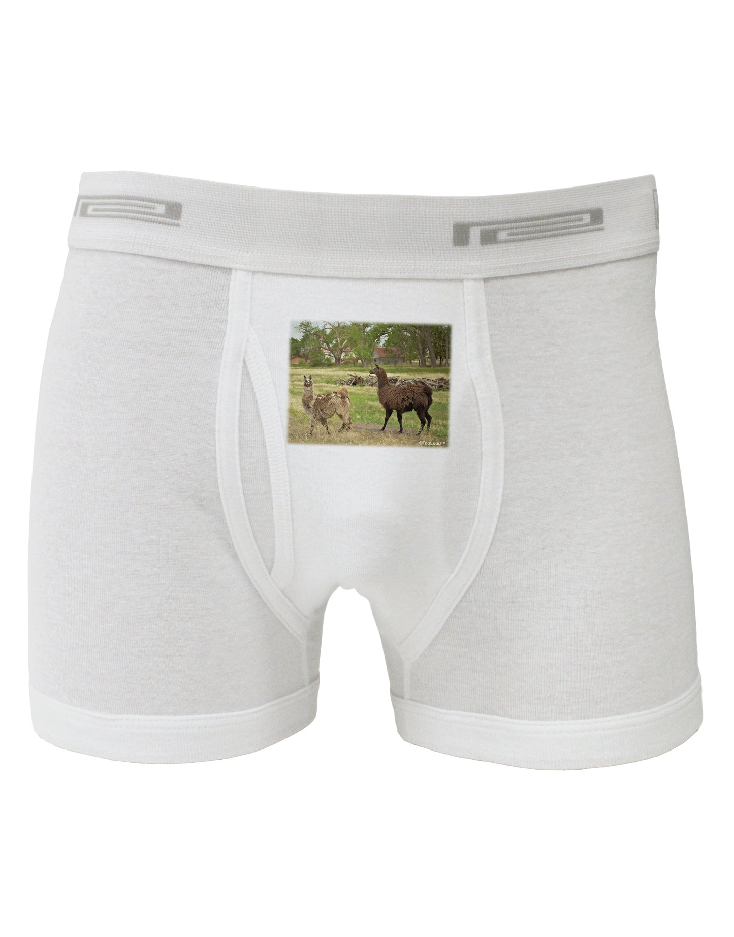 Standing Llamas Boxer Briefs by TooLoud-Boxer Briefs-TooLoud-White-Small-Davson Sales