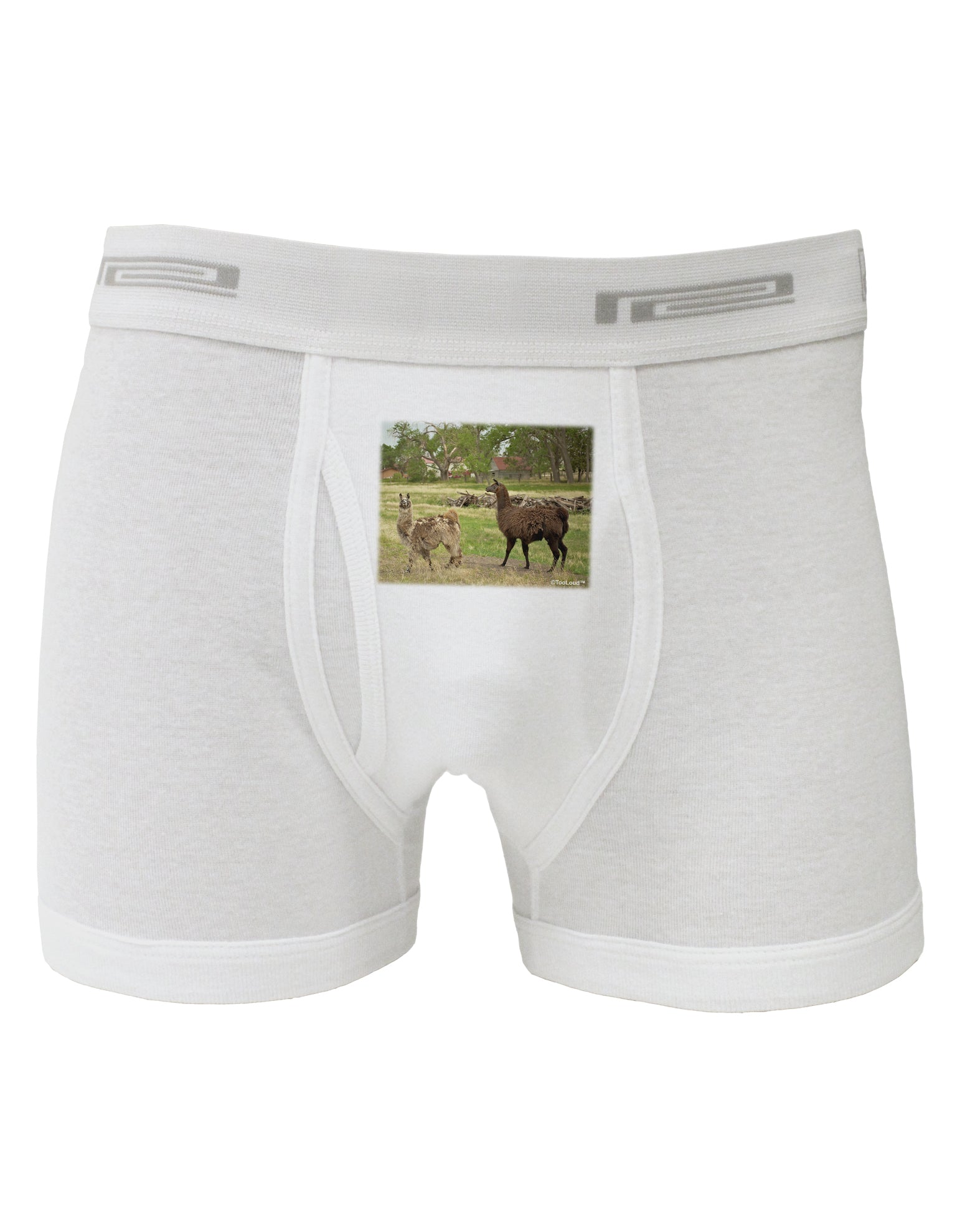 Standing Llamas Boxer Briefs by TooLoud-Boxer Briefs-TooLoud-White-Small-Davson Sales