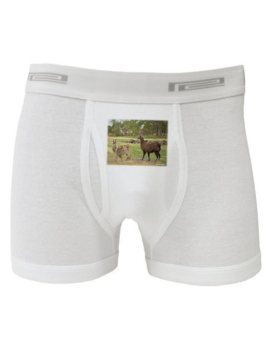 Standing Llamas Boxer Briefs by TooLoud-Boxer Briefs-TooLoud-White-Small-Davson Sales