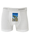 Colorado Landscape Tree Boxer Briefs-Boxer Briefs-TooLoud-White-Small-Davson Sales