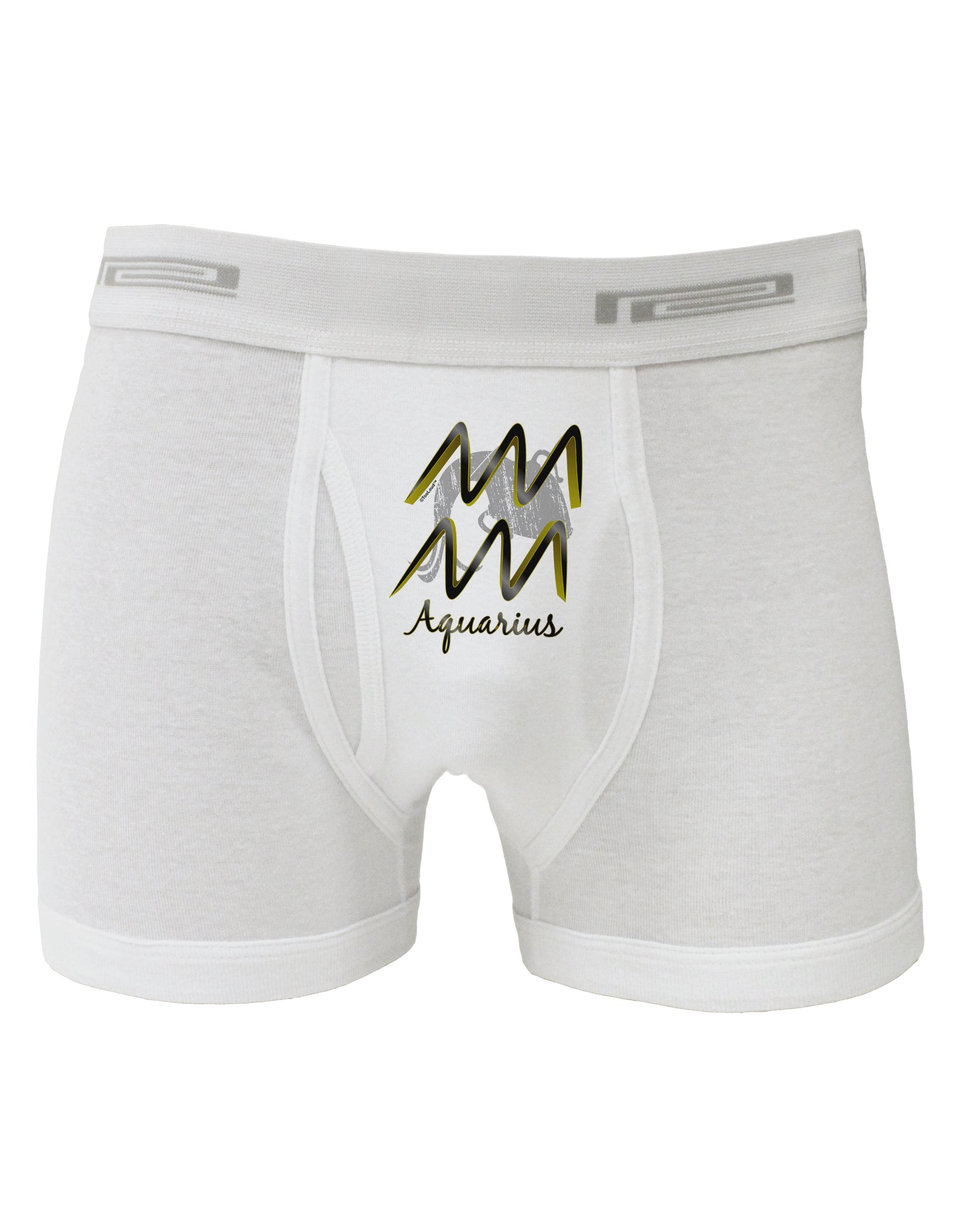 Aquarius Symbol Boxer Briefs-Boxer Briefs-TooLoud-White-Small-Davson Sales