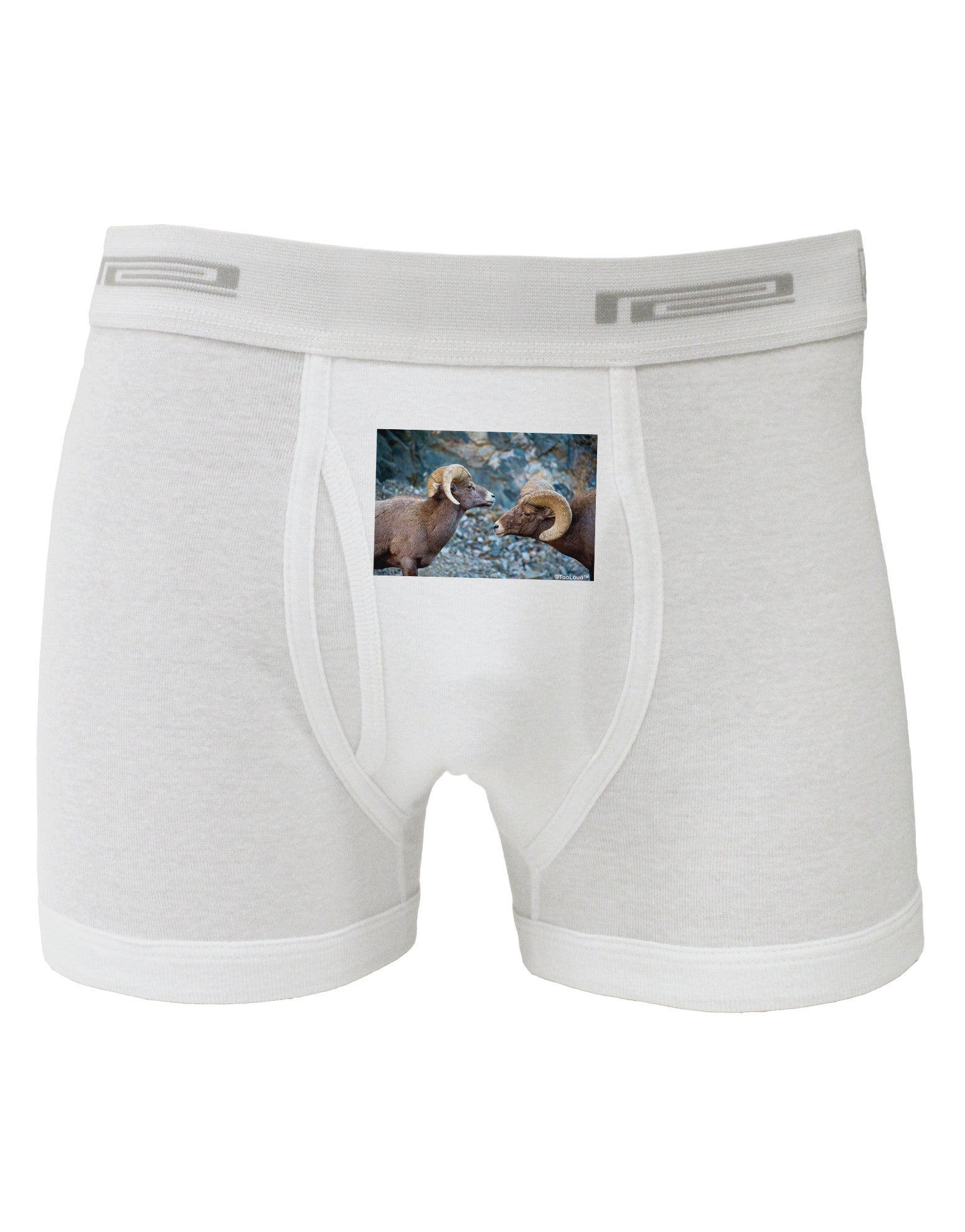 Two Bighorn Rams Boxer Briefs-Boxer Briefs-TooLoud-White-Small-Davson Sales