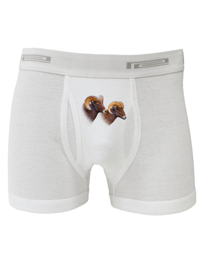 TooLoud Two Majestic Bighorn Rams Boxer Briefs-Boxer Briefs-TooLoud-White-Small-Davson Sales