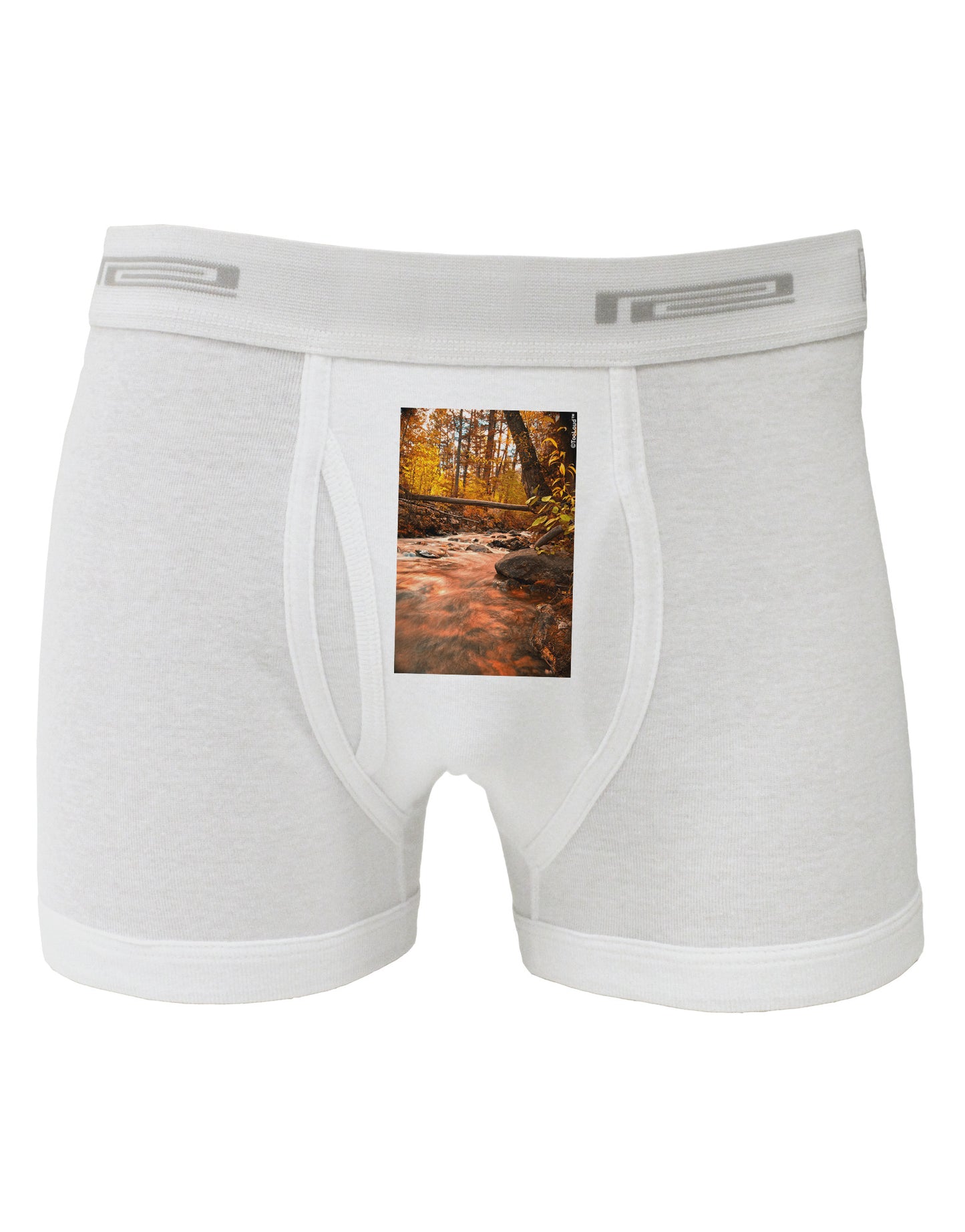 Mt Shavano Colorado Boxer Briefs-Boxer Briefs-TooLoud-White-Small-Davson Sales