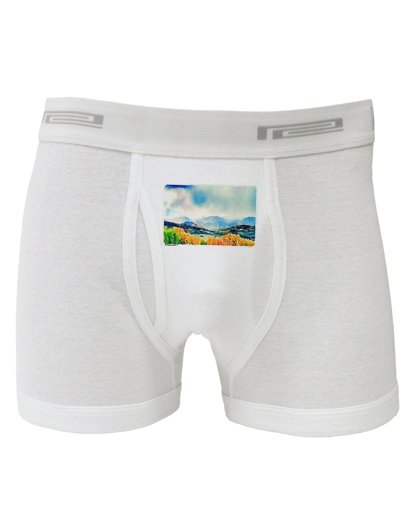 Colorado Mountain Scene Boxer Briefs-Boxer Briefs-TooLoud-White-Small-Davson Sales