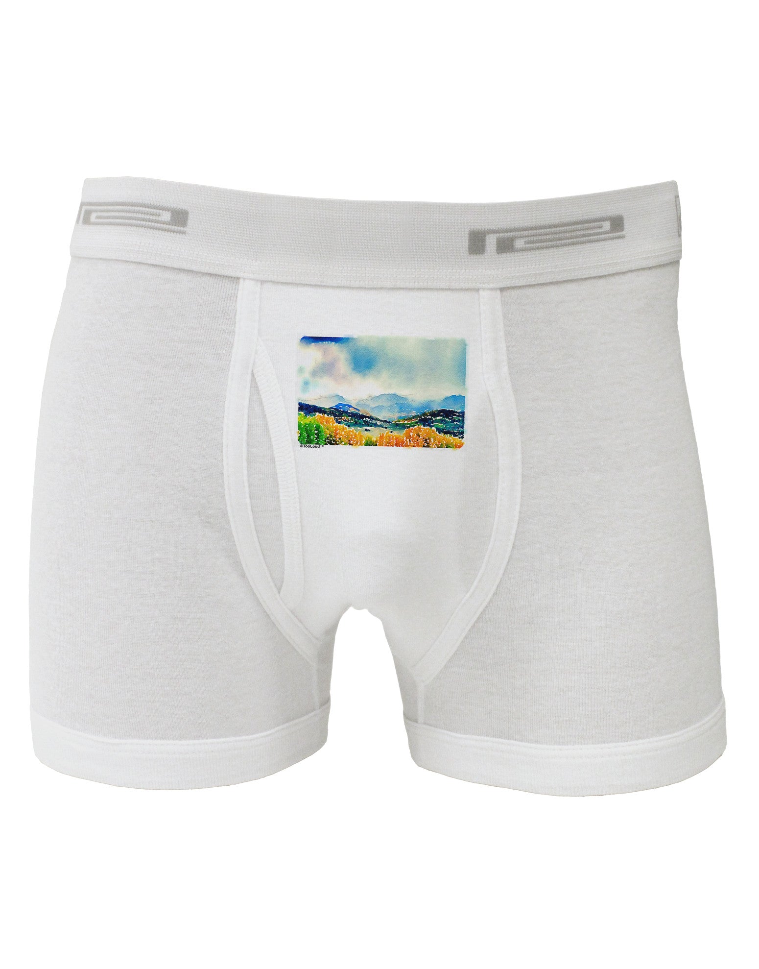 Colorado Mountain Scene Boxer Briefs-Boxer Briefs-TooLoud-White-Small-Davson Sales