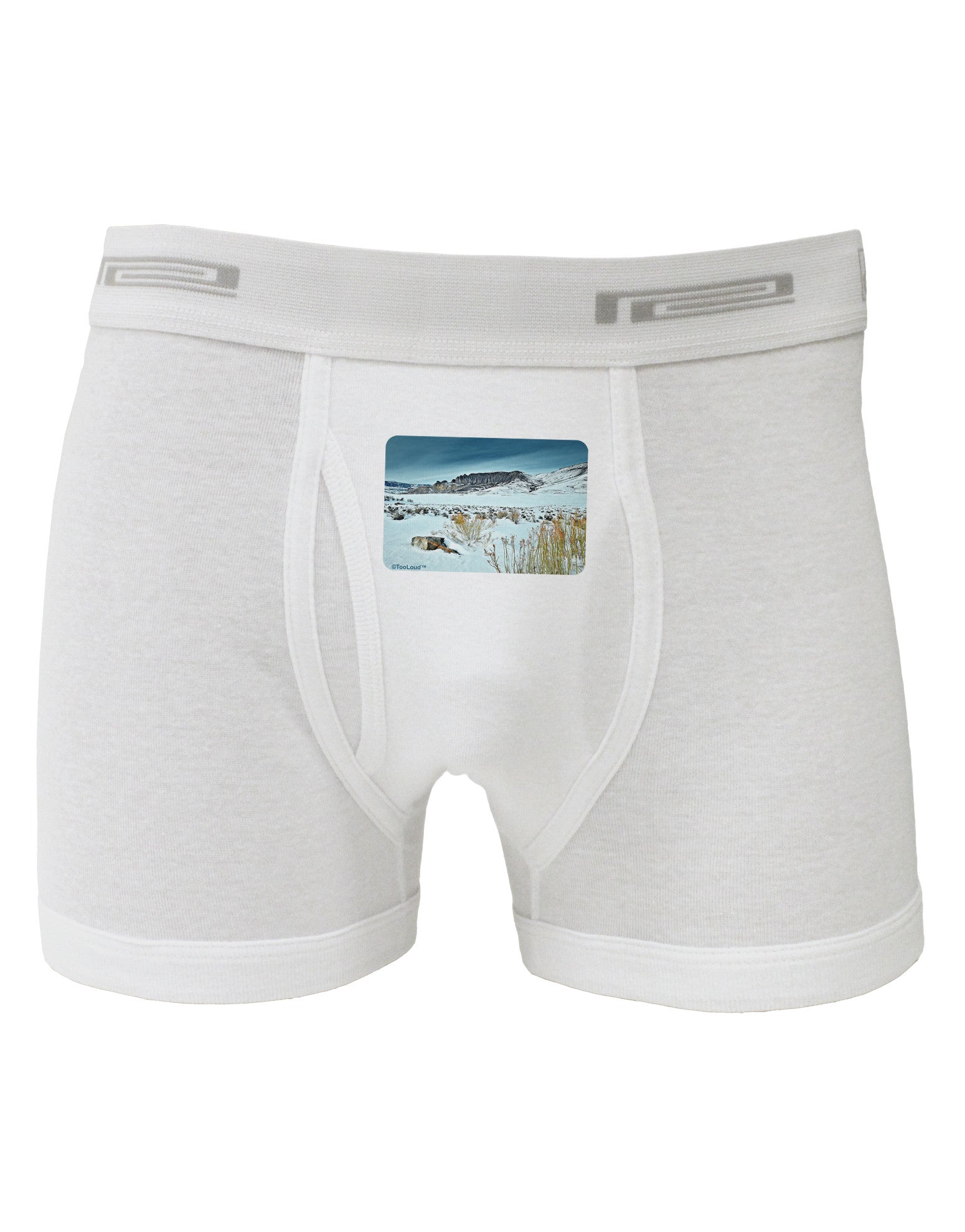 CO Snow Scene Boxer Briefs-Boxer Briefs-TooLoud-White-Small-Davson Sales