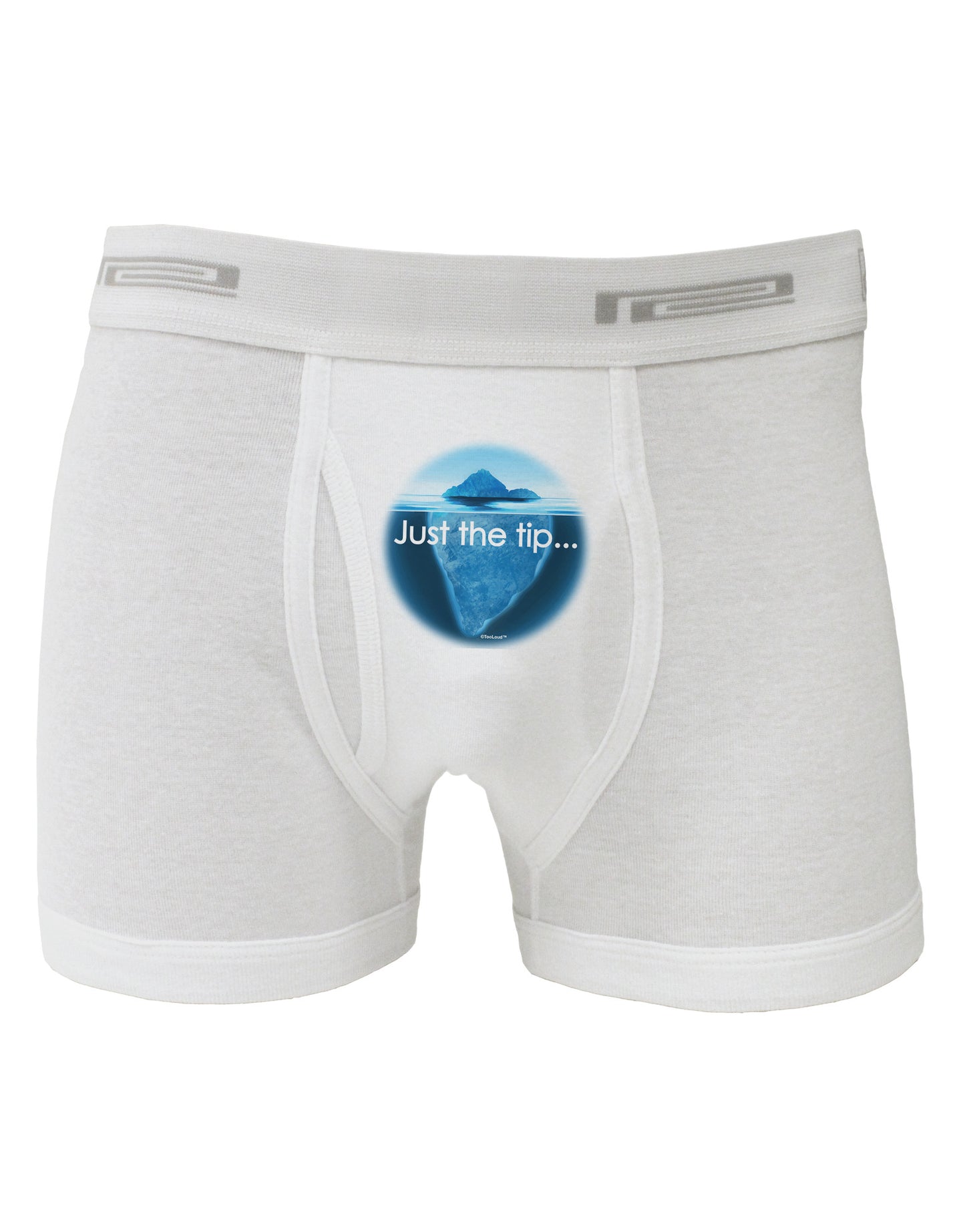 Iceberg Just the Tip Boxer Briefs-Boxer Briefs-TooLoud-White-Small-Davson Sales