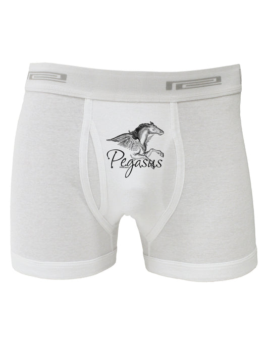 Pegasus Illustration Boxer Briefs-Boxer Briefs-TooLoud-White-Small-Davson Sales
