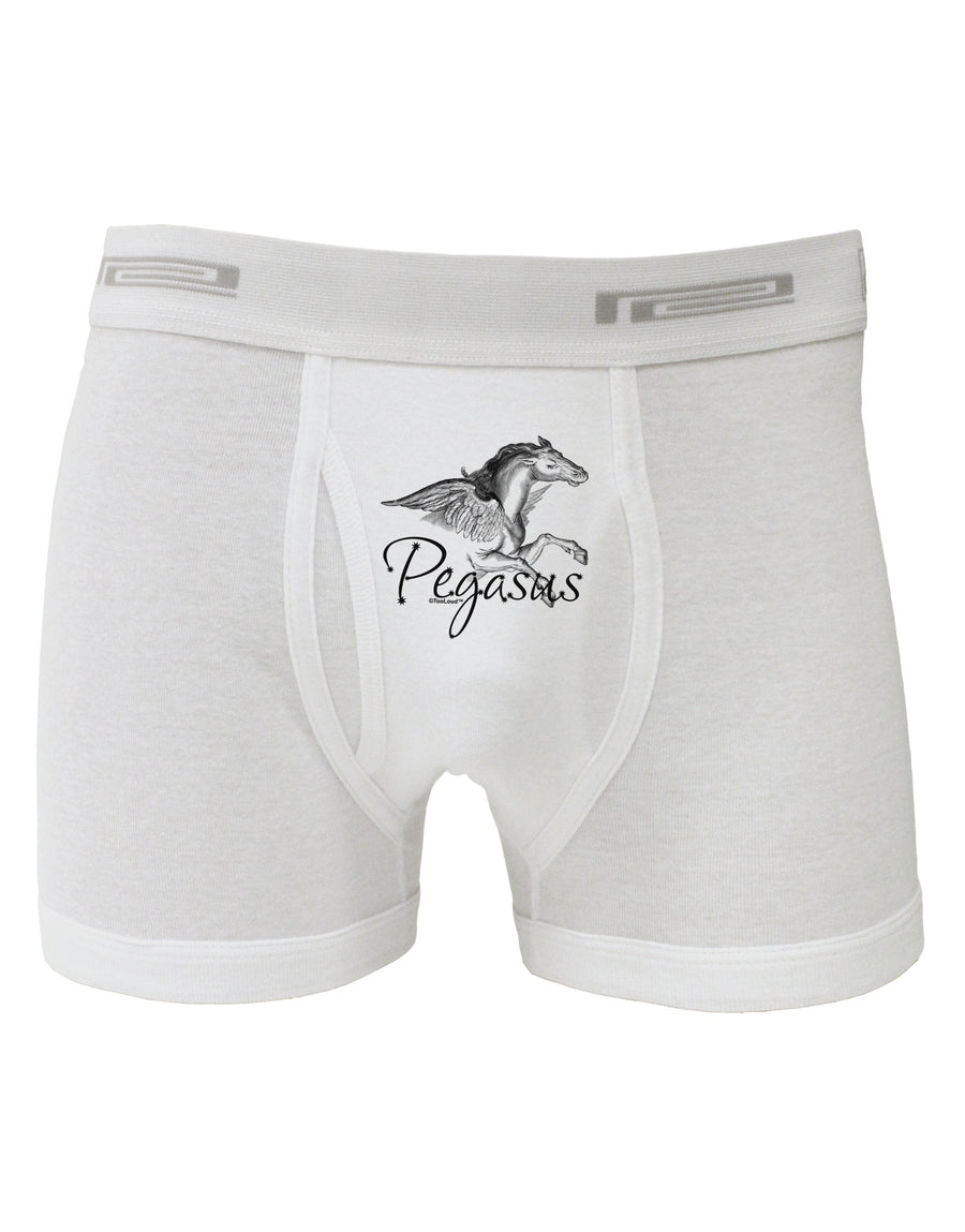 Pegasus Illustration Boxer Briefs-Boxer Briefs-TooLoud-White-Small-Davson Sales