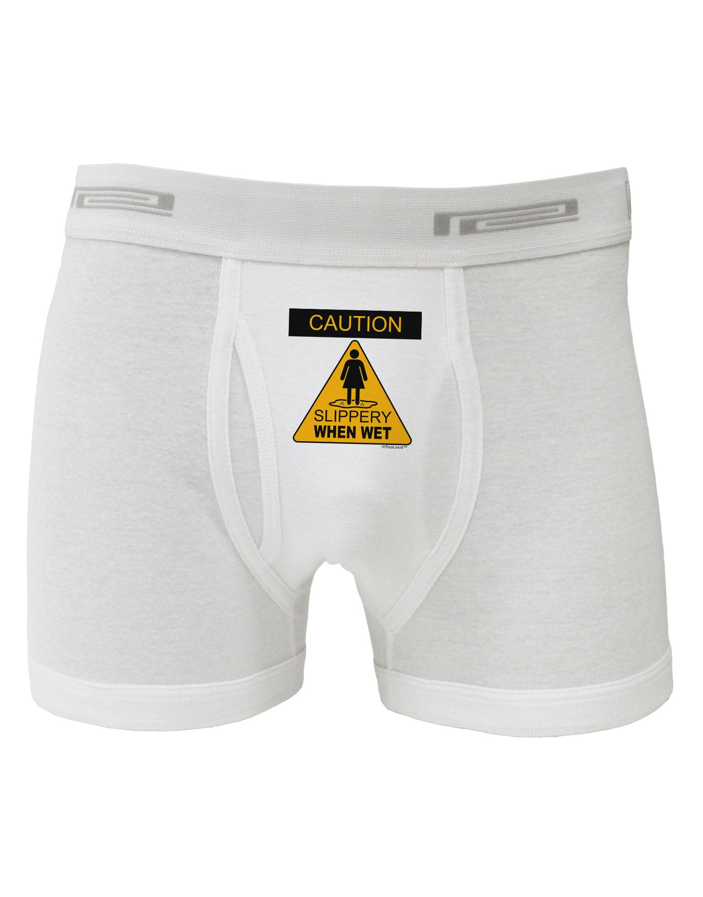 Slippery When Wet Boxer Briefs-Boxer Briefs-TooLoud-White-Small-Davson Sales