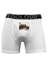 Laying Black Bear Boxer Briefs-Boxer Briefs-TooLoud-White-Small-Davson Sales