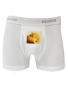 Lion Watercolor 3 Boxer Briefs-Boxer Briefs-TooLoud-White-Small-Davson Sales