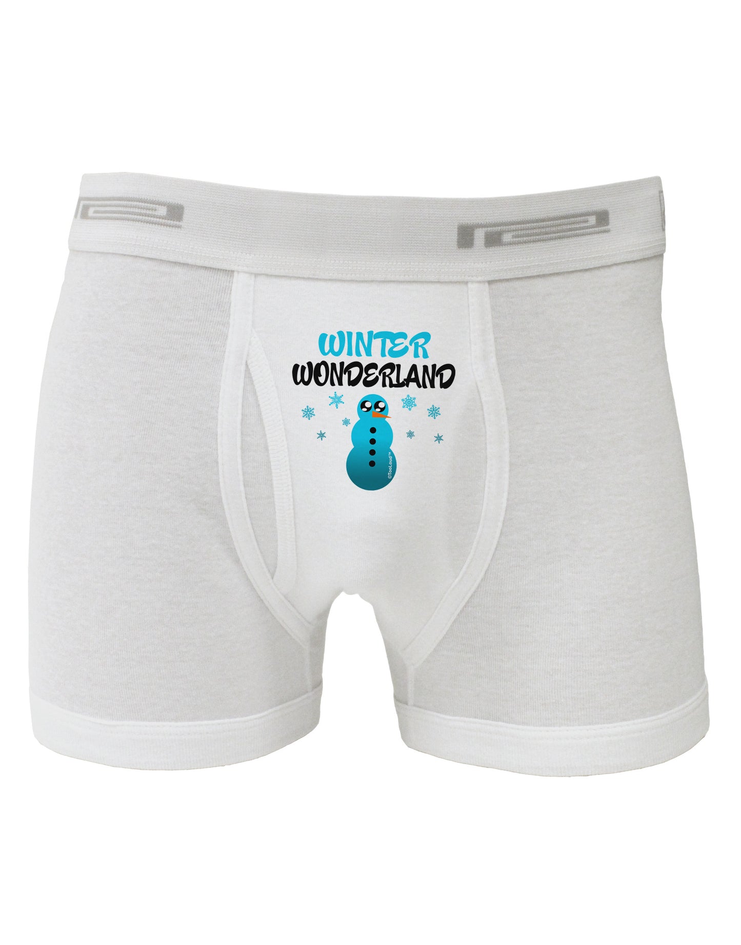 Winter Wonderland Snowman Boxer Briefs-Boxer Briefs-TooLoud-White-Small-Davson Sales