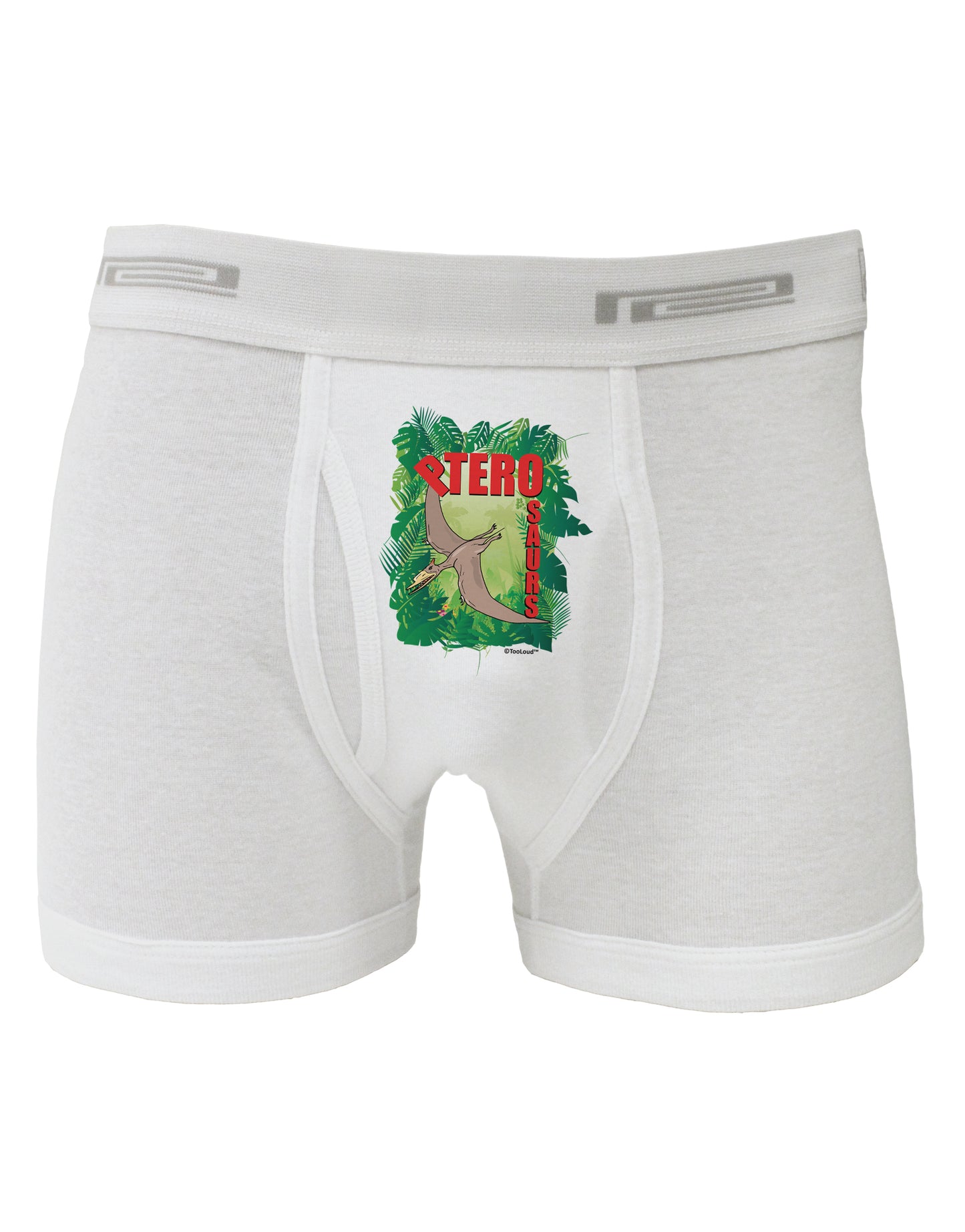 Pterosaurs - With Name Boxer Briefs by TooLoud-Boxer Briefs-TooLoud-White-Small-Davson Sales
