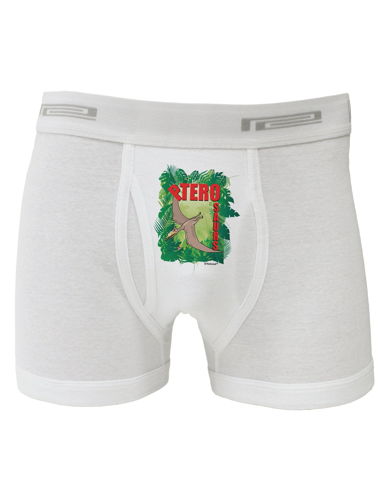 Pterosaurs - With Name Boxer Briefs by TooLoud-Boxer Briefs-TooLoud-White-Small-Davson Sales