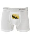 Iguana Watercolor Boxer Briefs-Boxer Briefs-TooLoud-White-Small-Davson Sales