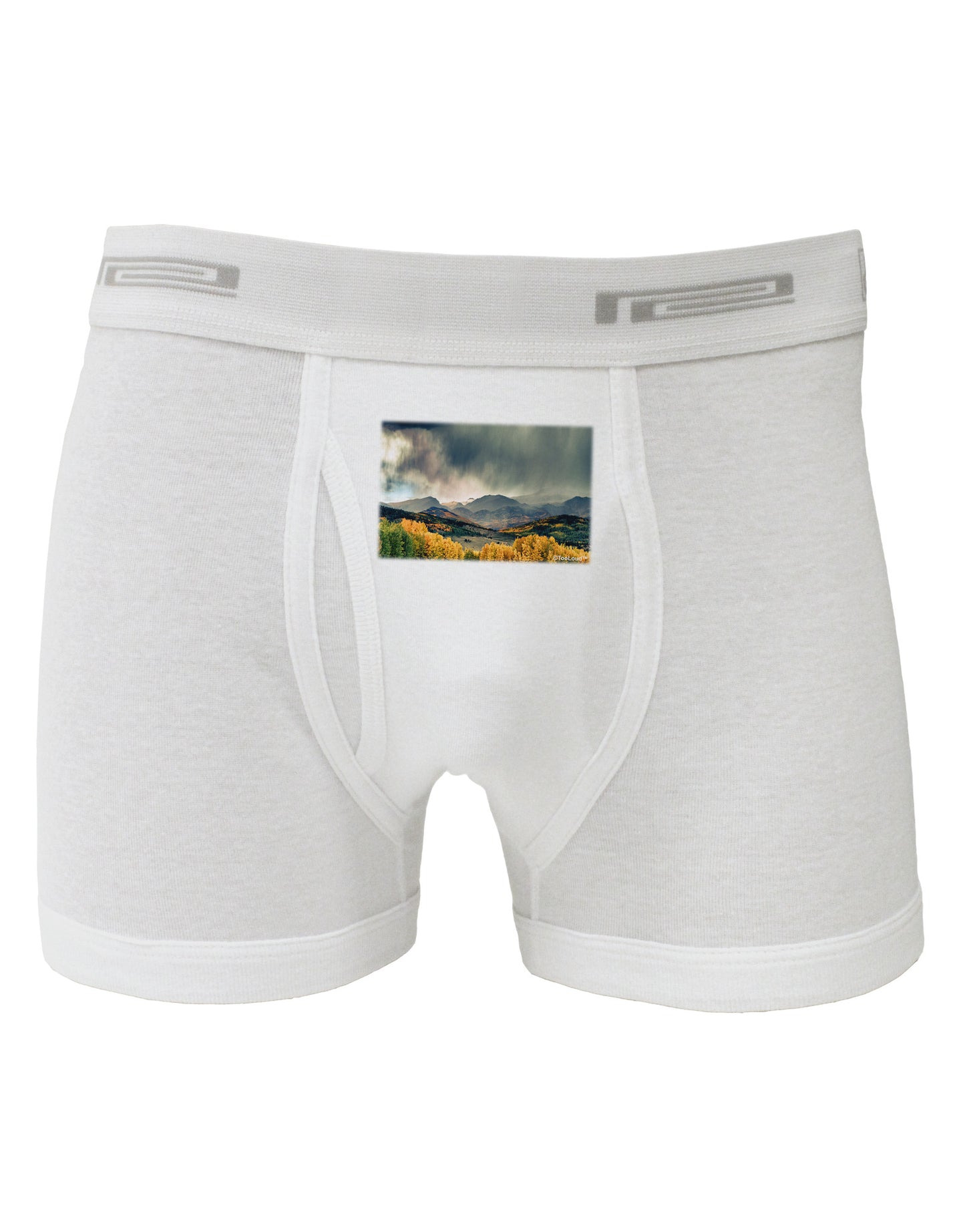 Colorado Mountain Scene Photo Boxer Briefs-Boxer Briefs-TooLoud-White-Small-Davson Sales