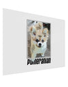 Pomeranian Step Out Gloss Poster Print Landscape - Choose Size by TooLoud-Poster Print-TooLoud-17x11"-Davson Sales