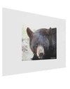 Staring Black Bear Gloss Poster Print Landscape - Choose Size-Poster Print-TooLoud-17x11"-Davson Sales