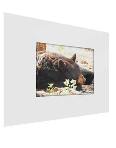 Laying Black Bear Gloss Poster Print Landscape - Choose Size-Poster Print-TooLoud-17x11"-Davson Sales