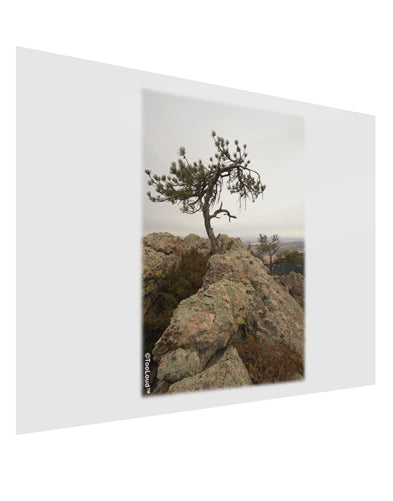 Stone Tree Colorado Gloss Poster Print Landscape - Choose Size by TooLoud-Poster Print-TooLoud-17x11"-Davson Sales