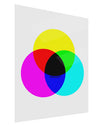 CMYK Color Model Gloss Poster Print Portrait - Choose Size by TooLoud-Poster Print-TooLoud-11x17"-Davson Sales