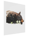 Laying Black Bear Cutout Gloss Poster Print Portrait - Choose Size-Poster Print-TooLoud-11x17"-Davson Sales